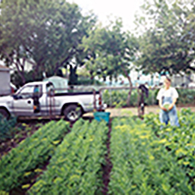 Converting lawns for willing homeowners, market farmers find land in urban yards